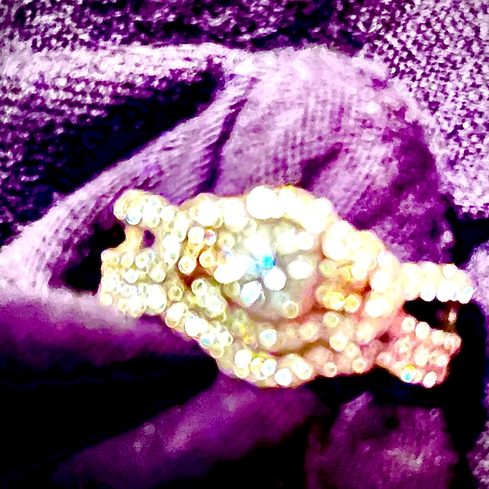 Beautiful bridal ring set. Chocolate diamonds size 7 white gold